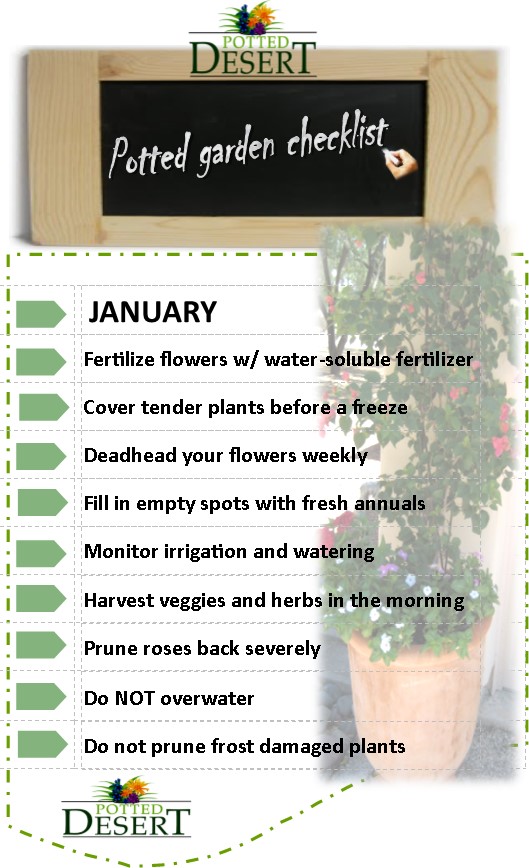 Potted Garden Checklist for January