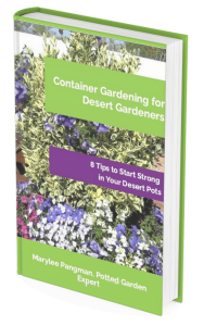 Container Gardening for the Desert Gardeners