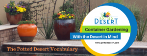 The Potted Desert Vocabulary