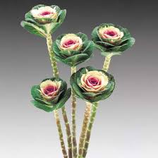 Tall Kale as a Rose Bouquet