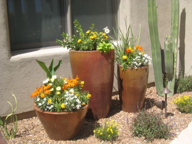 Trio of copper pots by The Potted Desert