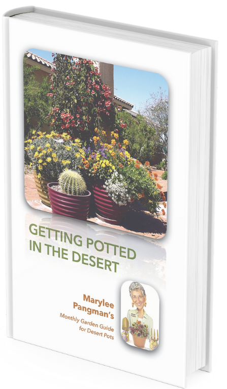 Getting Potted in the Desert book by Marylee Pangman