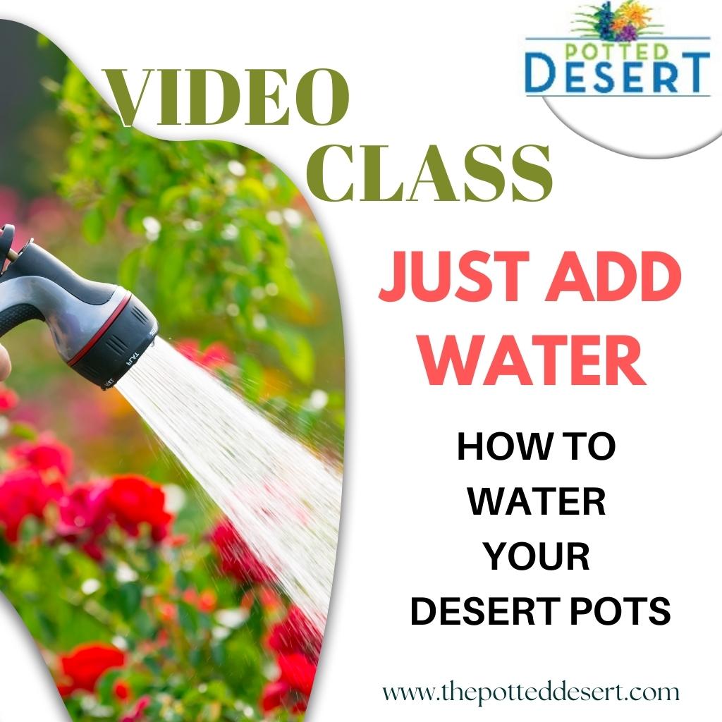 Just Add Water self- study video class image