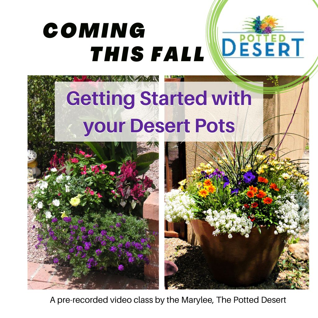 Coming Soon - Getting Started with Desert Pots Video Class