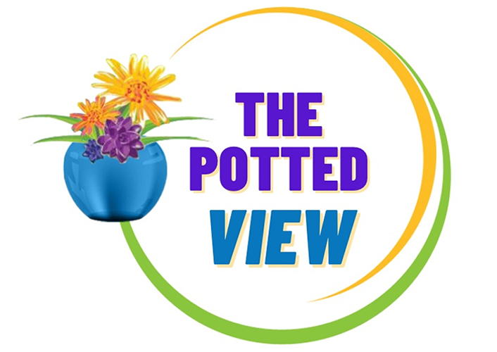 the-potted-view