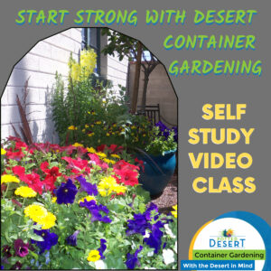 Start Strong with your desert container garden Video Class